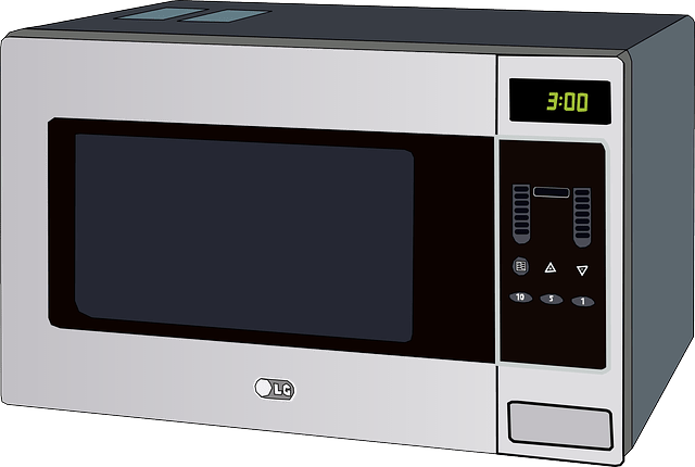 microwave photo