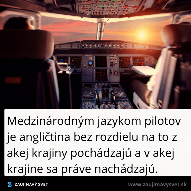 piloti