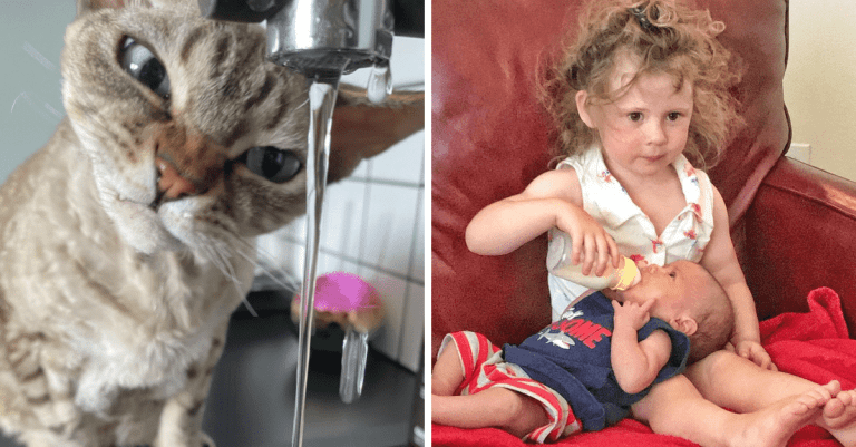 Fotografie, pri ktorých pocítite celú škálu emócií