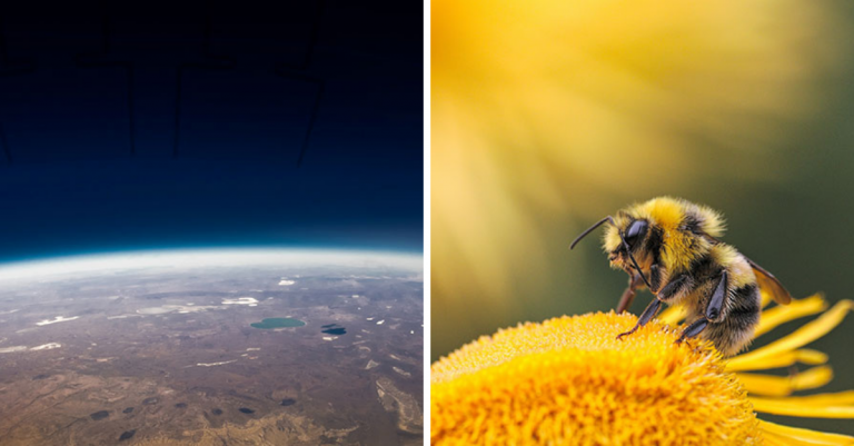 10 potešujúcich faktov, ktoré dnes potrebujete počuť