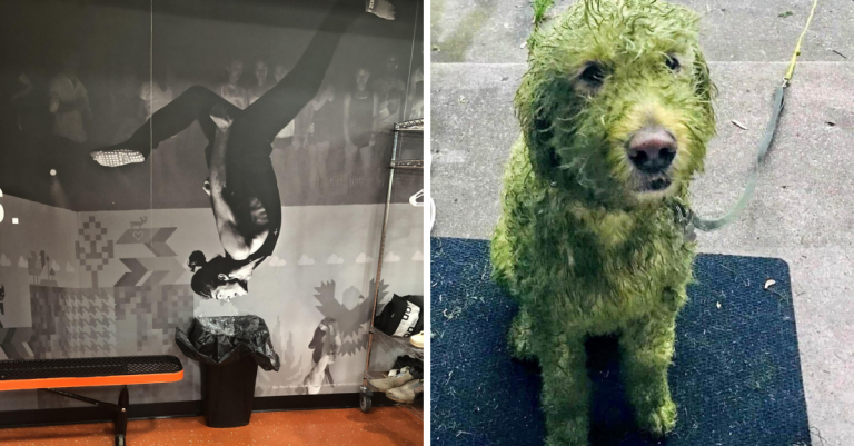 Fotografie, ktoré vám zaručene spríjemnia deň