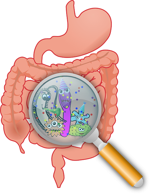 intestine photo