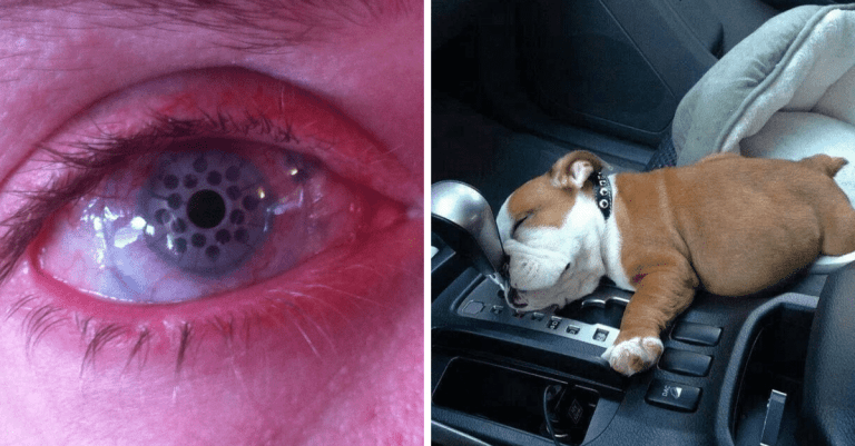 Neobyčajné a úsmevné fotografie, ktoré dnes potrebujete vidieť