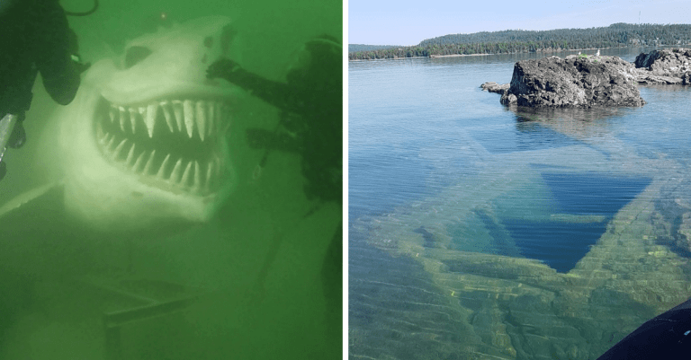 Strašidelné podmorské fotografie, ktoré poriadne otestujú vašu odvahu