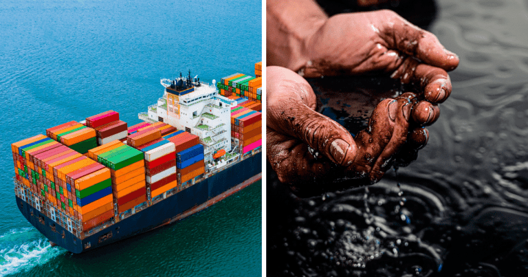 Zaujímavosti ku káve, ktoré ti zaručene rozšíria obzory #1377 – každý rok sa z lodí stratí asi 10 000 lodných kontajnerov a únik ropy Exxon Valdez v roku 1989 bol zodpovedný za smrť viac ako 250 000 vtákov