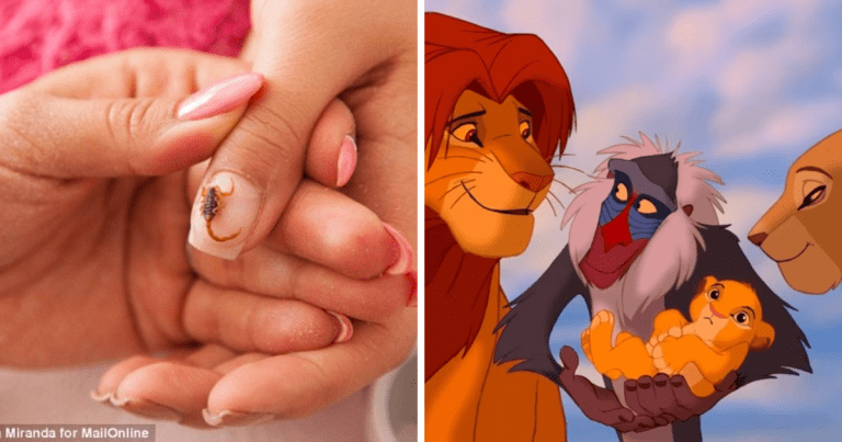 Zaujímavosti ku káve, ktoré ti zaručene rozšíria obzory #1352 – ženy si lepia na nechty mláďatá škorpiónov a žaloba na Disneyho za rozprávku Leví kráľ
