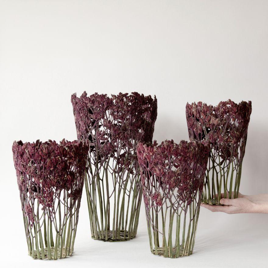 dried flower sculptures shannon clegg 10