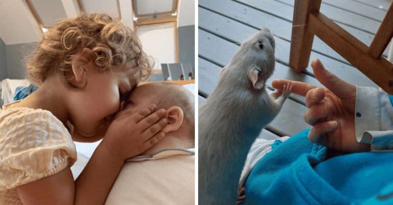 Rozkošné fotografie, ktoré vám spríjemnia deň