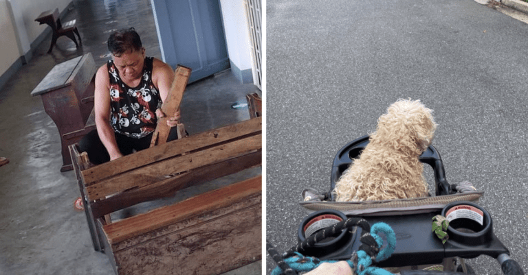 Fotografie, ktoré vám svojou láskavosťou vyčarujú úsmev na tvári