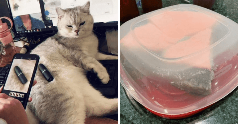 Life hacky, ktoré vám výrazne uľahčia fungovanie