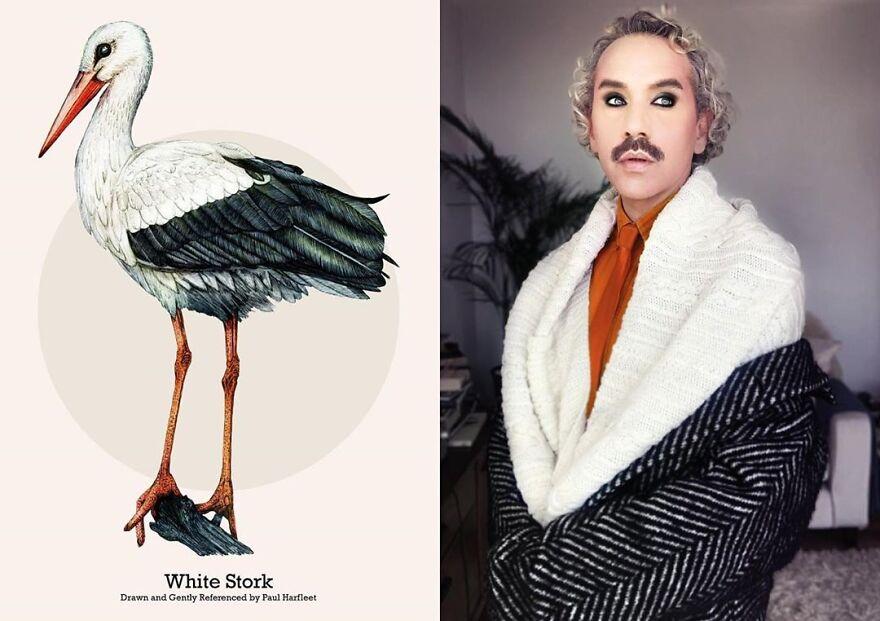 Artist draws birds in Lockdown and gently references them with fashion and makeup 5f8ea4b73815b 880