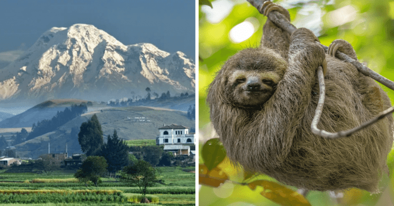 Zaujímavosti ku káve, ktoré ti zaručene rozšíria obzory #1388 – najvyššie miesto na Zemi a najbližšie k vesmíru je hora Chimborazo v Andách a exkrementy leňochodov vážia až tretinu ich telesnej hmotnosti