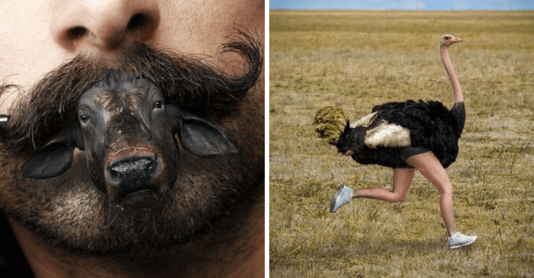 Umelec vytvára bizarné fotografické koláže, ktoré stoja za povšimnutie