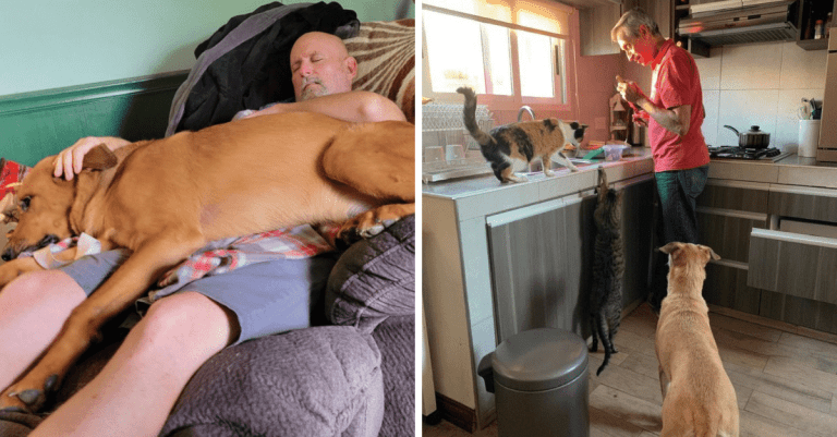 Najprv ich nechceli, dnes bez nich nedokážu žiť. Pozrite si rozkošné fotografie domácich zvierat