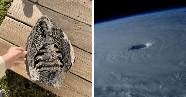 11 fascinujúcich fotografií, z ktorých zostanete bez slov