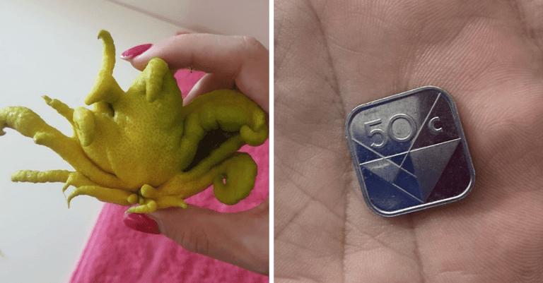 Neobyčajné veci, ktoré sú také skvelé, že z nich nebudete vedieť odtrhnúť zrak
