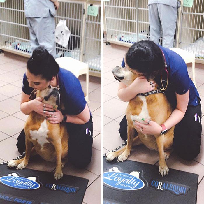 dog hugging vet