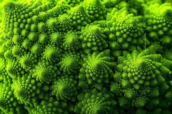 plants brocoli
