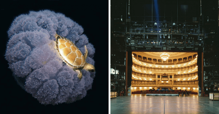 Fascinujúce fotografie, ktoré len tak neuvidíte