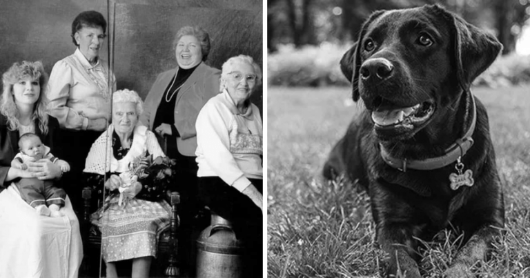 Zaujímavosti ku káve, ktoré ti zaručene rozšíria obzory #1478 – v roku 1989 padol rekord v počte generácií žijúcich v jednej rodine, s počtom sedem generácií a najdlhšia trasa, ktorú dokázal prejsť stratený pes pri návrate domov, je 3 218 km naprieč Austráliou