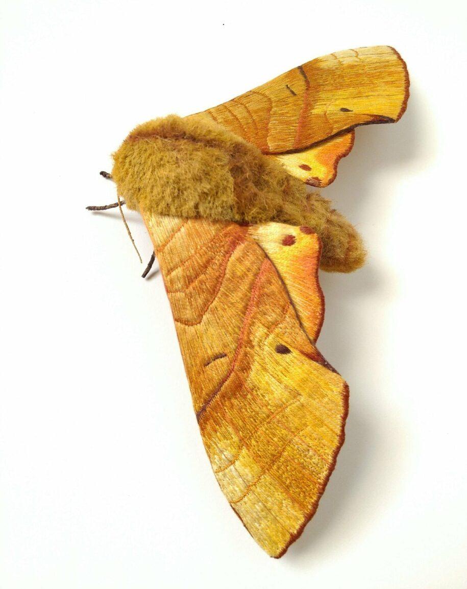 fiber moths yumi okita 10 915x1153 1