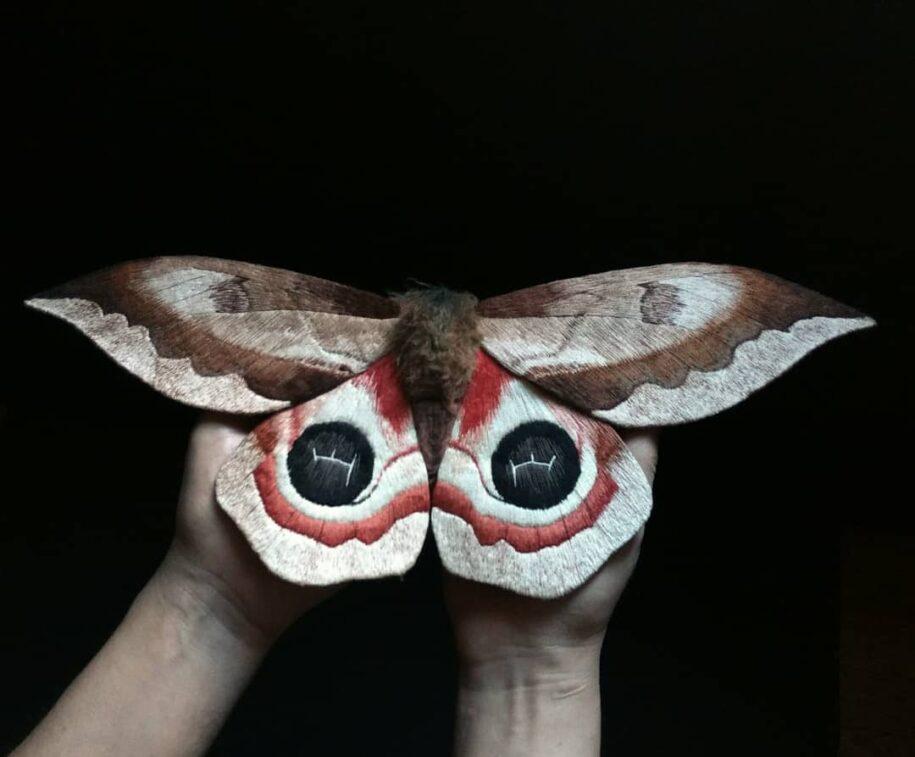 fiber moths yumi okita 12 915x757 1