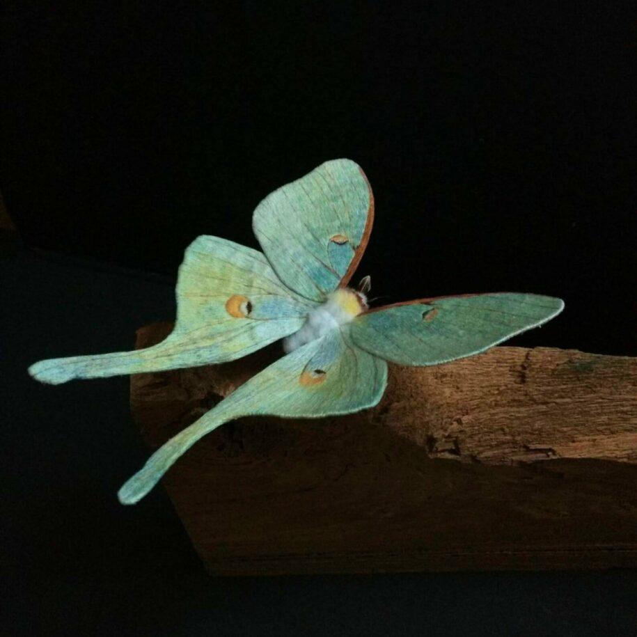 fiber moths yumi okita 5 915x915 1