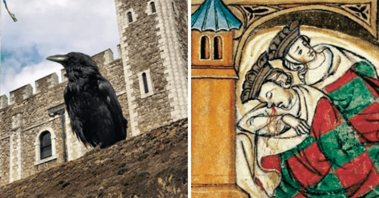 Zaujímavosti ku káve, ktoré ti zaručene rozšíria obzory #1498 – havrany z Tower of London patria medzi kráľovské vojsko, jeden z nich bol dokonca prepustený do ZOO za ničenie televíznych antén a Hun Attila zomrel v roku 453 nášho letopočtu počas svadobnej noci na krvácanie z nosa
