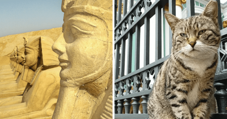 Zaujímavosti ku káve, ktoré ti zaručene rozšíria obzory #1507 – prvý zaznamenaný štrajk sa odohral v roku 1152 p.n.l. v starovekom Egypte, keď robotníci neboli spokojní so svojimi platmi a múzeum Ermitáž v Petrohrade má asi 50 mačiek preto, aby predišli zamoreniu hlodavcami