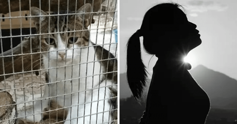 Zaujímavosti ku káve, ktoré ti zaručene rozšíria obzory #1493 – v roku 2019 využili trestanci v Rusku na pašovanie drog mačku, ktorú súd predvolal ako svedka, ale pred procesom im ušla a v roku 2018 prsný implantát zachránil život 30-ročnej Kanaďanke po útoku neznámeho strelca