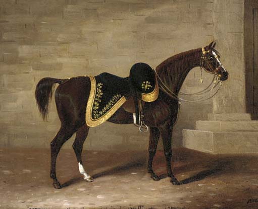 Copenhagen Wellingtons horse