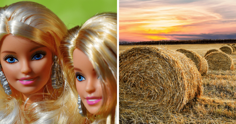 Zaujímavosti ku káve, ktoré ti zaručene rozšíria obzory #1531 – fínski výskumníci zistili, že bábika Barbie by v živom tele nemohla mať menštruáciu kvôli nedostatku tuku a ak farmári balíky sena neusušia poriadne, môže dôjsť k samovznieteniu balíkov