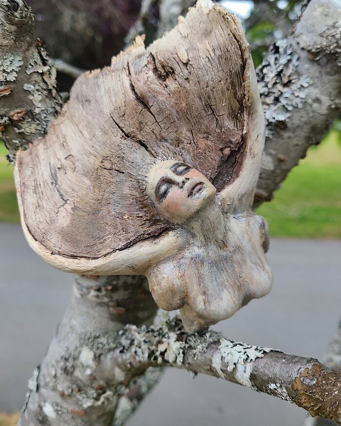 Artist uses driftwood to create stunning sculptures New Pics 641065d44d0df 700