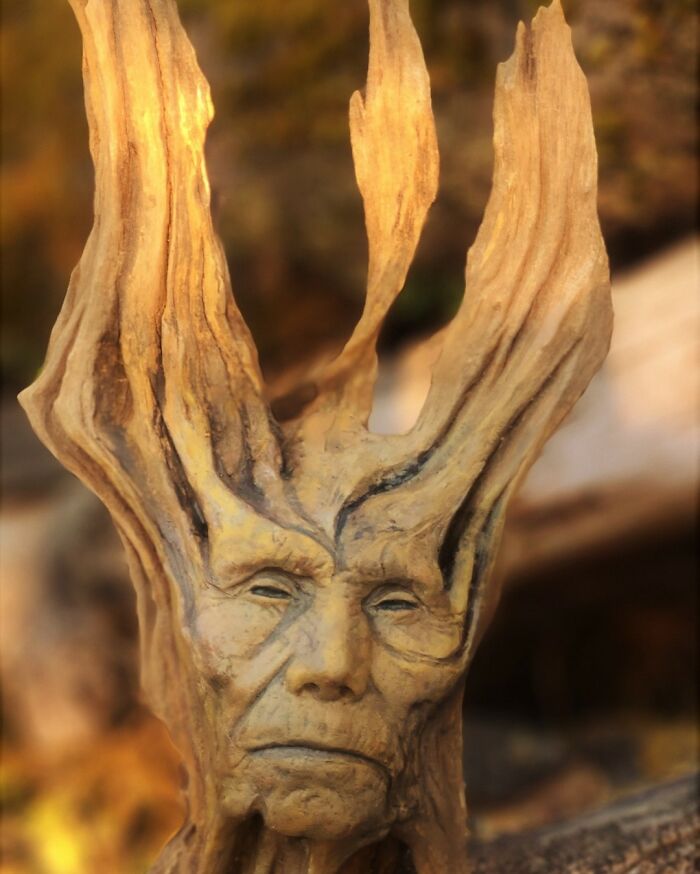 Artist uses driftwood to create stunning sculptures New Pics 641065eae2c76 700