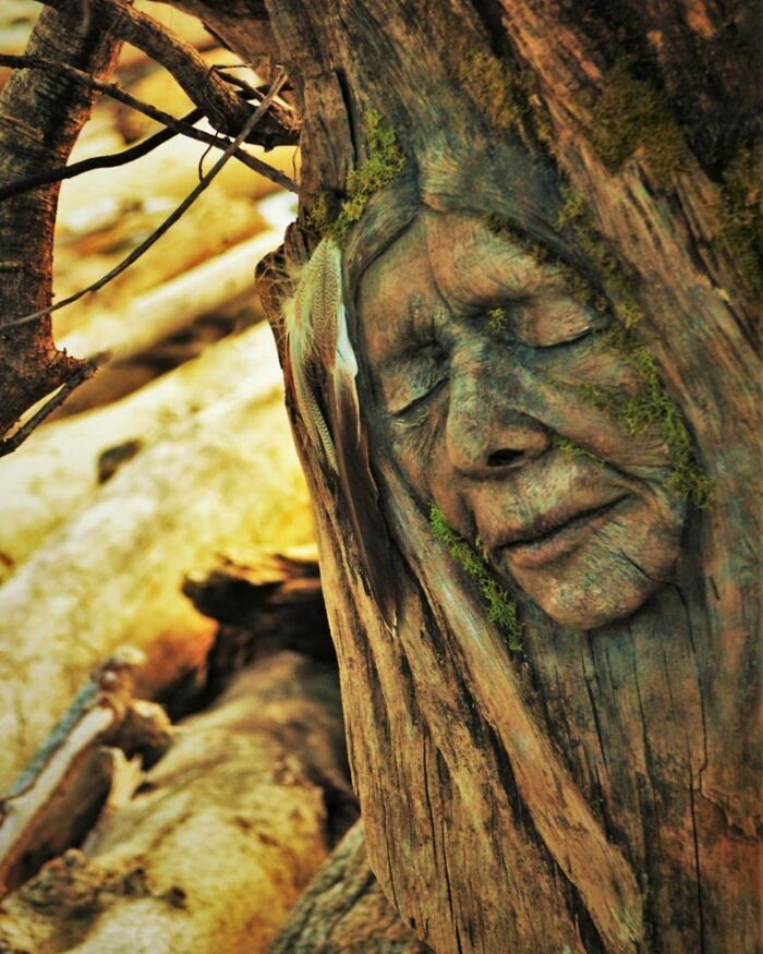 Artist uses driftwood to create stunning sculptures New Pics 641065fdeed20 700