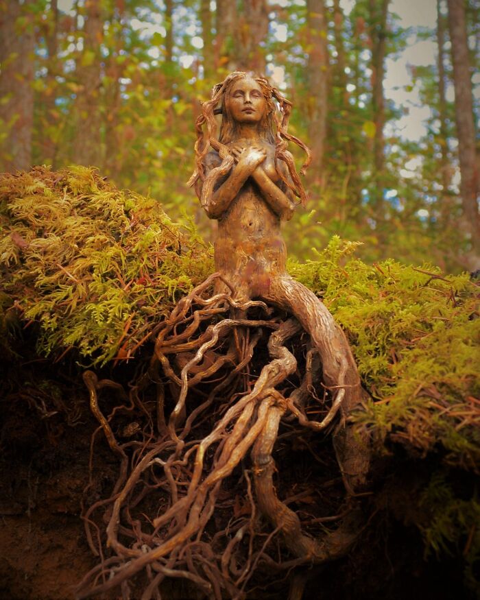 Artist uses driftwood to create stunning sculptures New Pics 64106601b011e 700