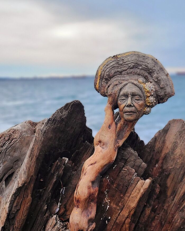 Artist uses driftwood to create stunning sculptures New Pics 6410660c002d2 700