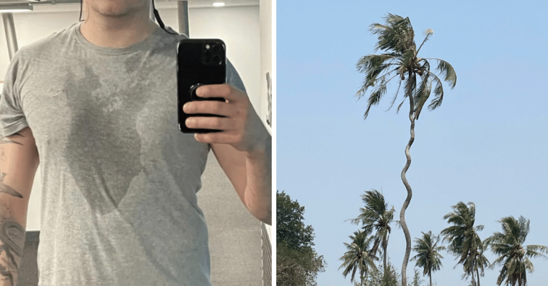 10 fotografií, ktoré ukazujú kúzla bežného života