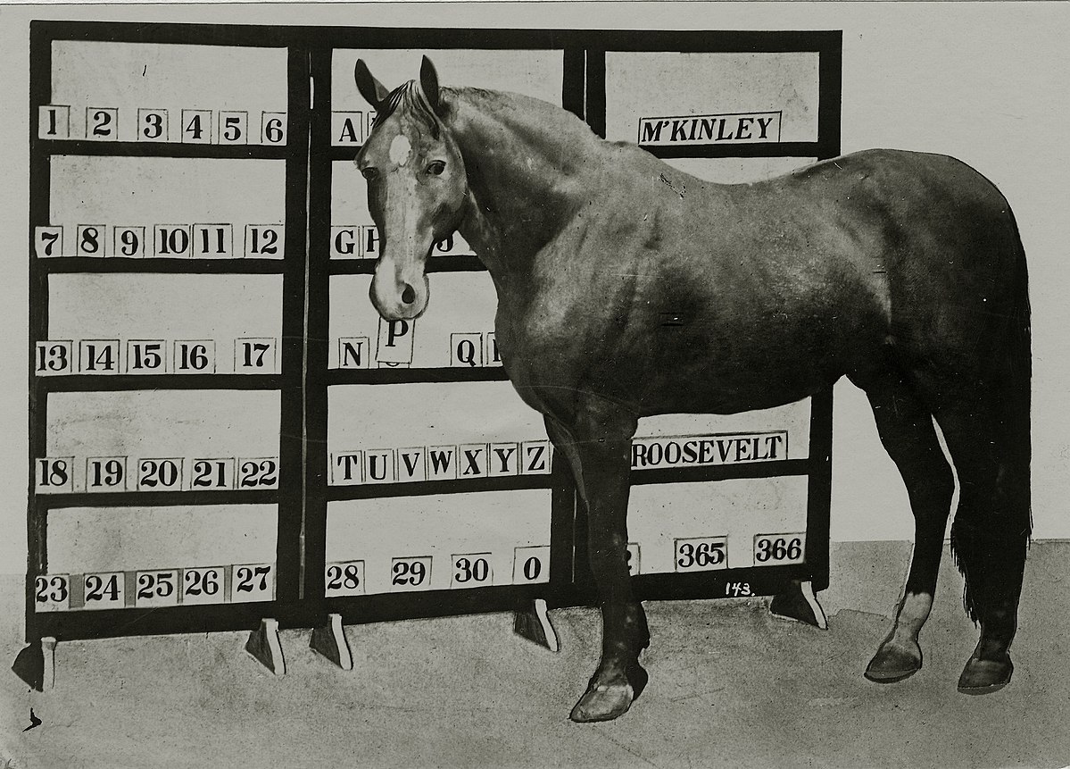1199px Jim Key the spelling horse standing by his numbers and letters. attraction on the Pike at the 1904 Worlds Fair