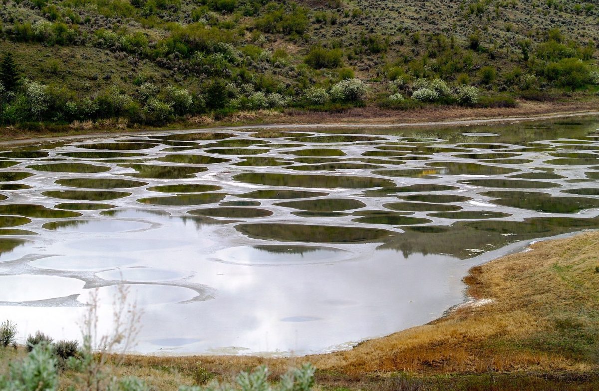 1599px Spotted Lake panoramio 3 1