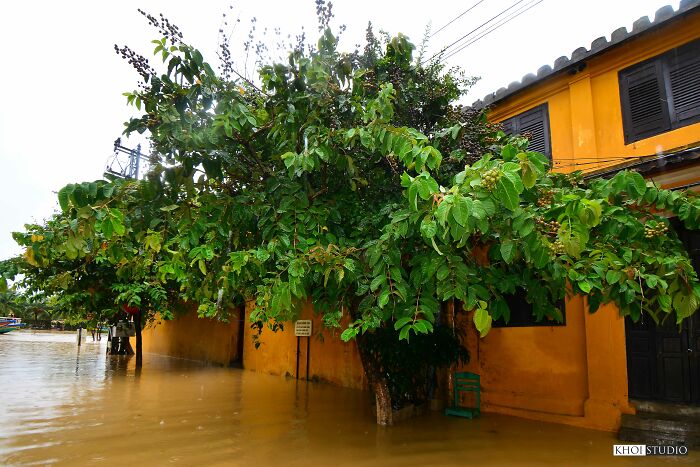 Floods in Hoi An Quang Nam Vietnam Khoi Studio 7 64415fe92def5 700