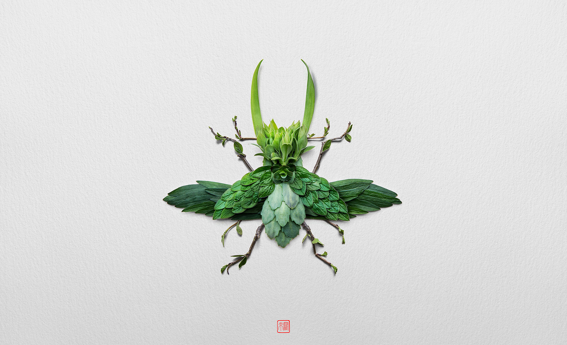 creative insect portraits raku inoue 10