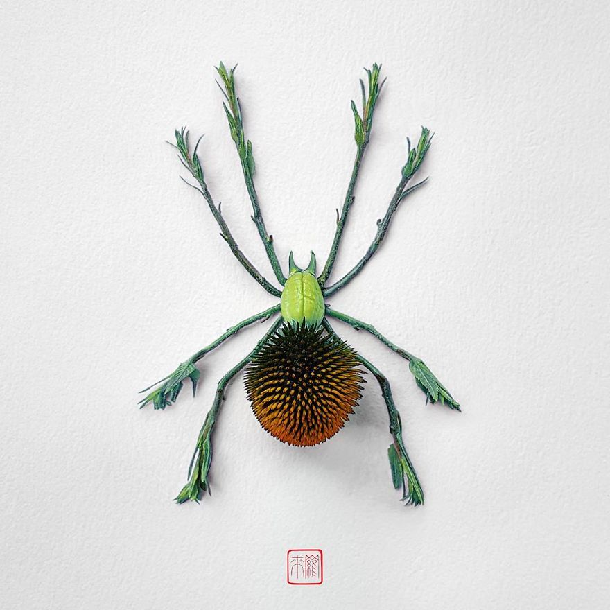 creative insect portraits raku inoue 13