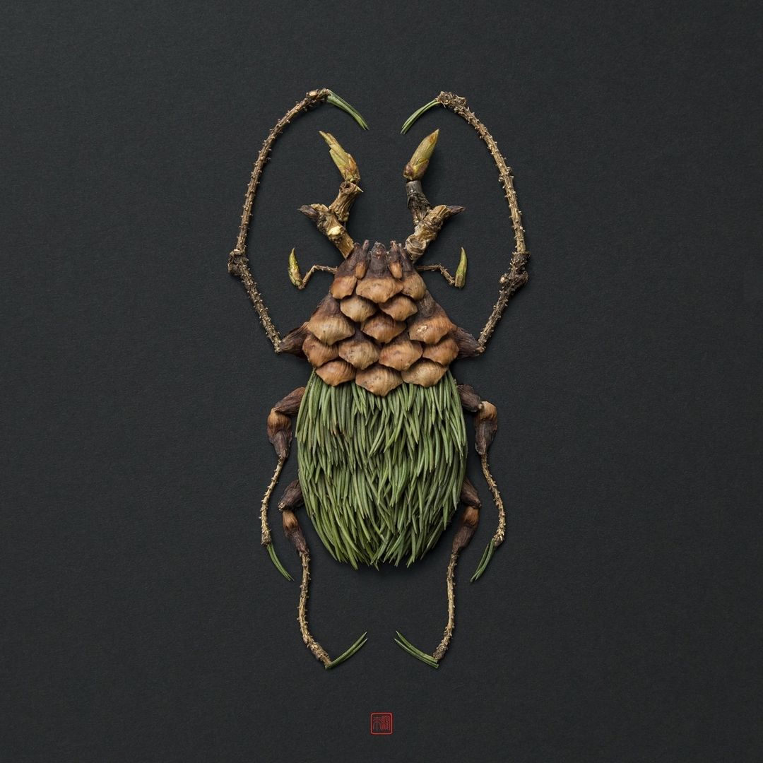 creative insect portraits raku inoue 15