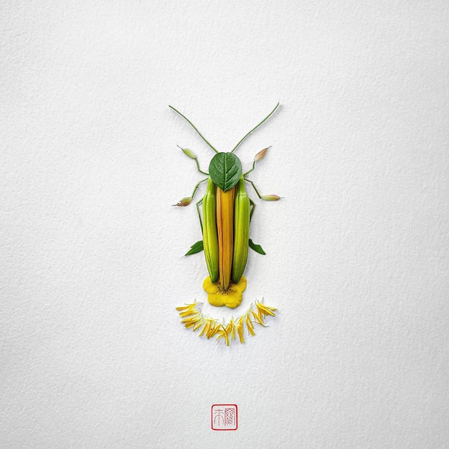 creative insect portraits raku inoue 5