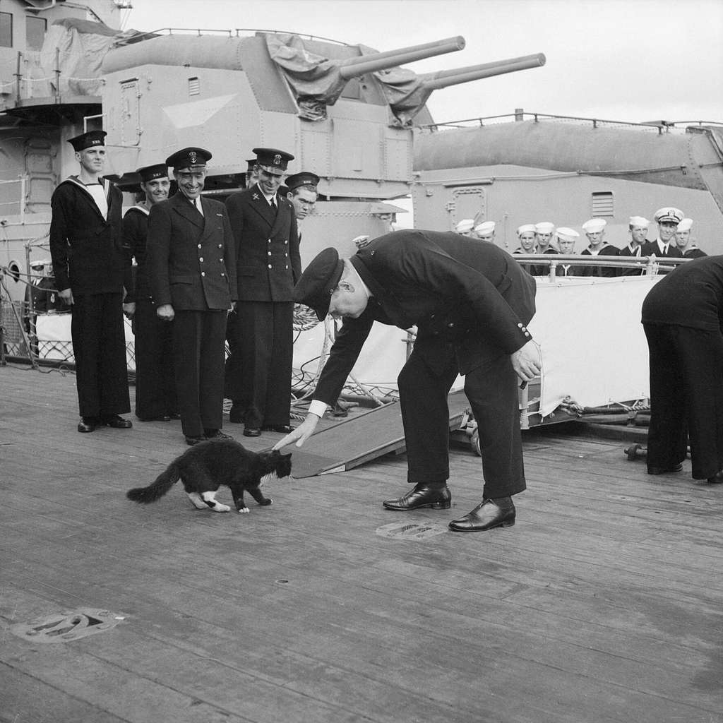 winston churchill stops blackie ships cat of hms prince of wales crossing over 875953