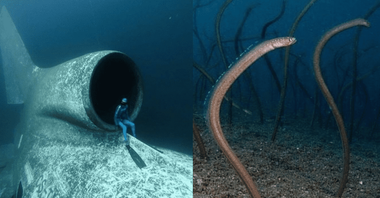 Desivé fotografie, vďaka ktorým budete chcieť zostať čo najďalej od oceána