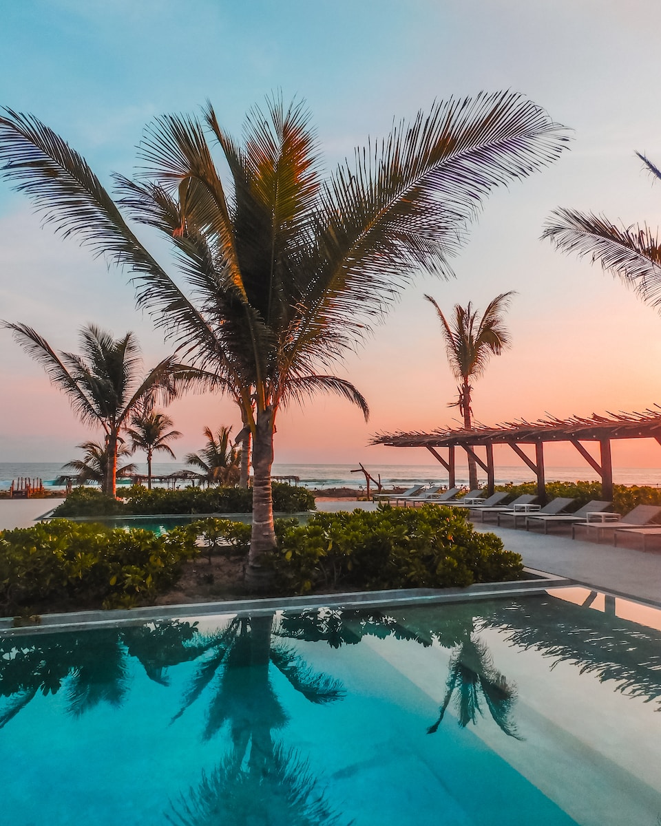 palm tree near pool during daytime