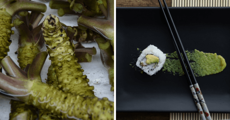 Väčšina z nás vie ako chutí wasabi. Čo ak vám však poviem, že ste s najväčšou pravdepodobnosťou jedli len jeho napodobeninu?