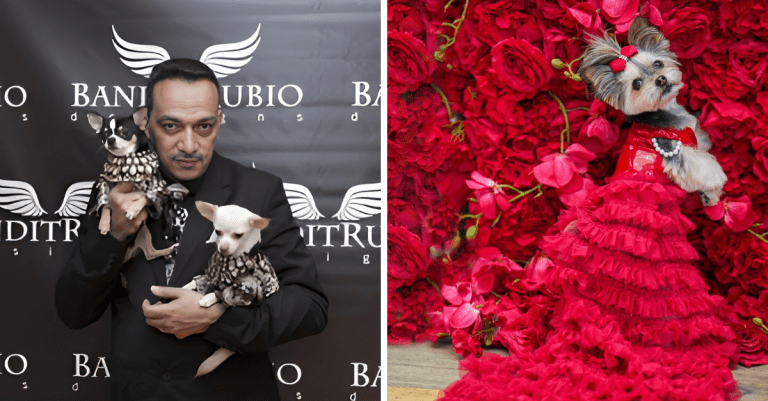 Obľúbené domáce zvieratá na Met Gala oblečené v šatách od Anthonyho Rubia